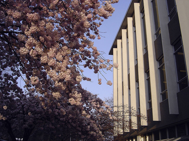 british-colombia-universitesi