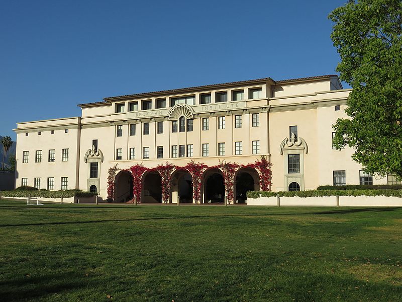 john-casablancas-institute